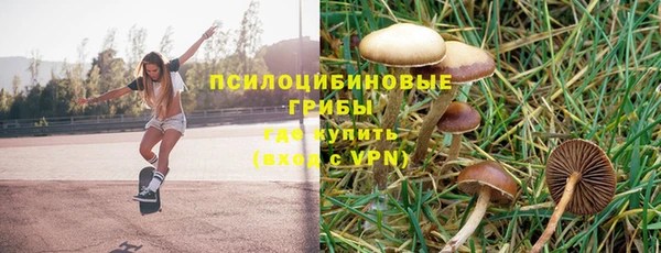 молекула духа Медногорск