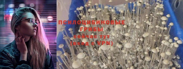 молекула духа Медногорск