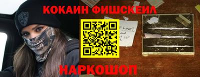 мдпв Кингисепп