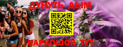 мдпв Кингисепп