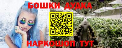 мдпв Кингисепп