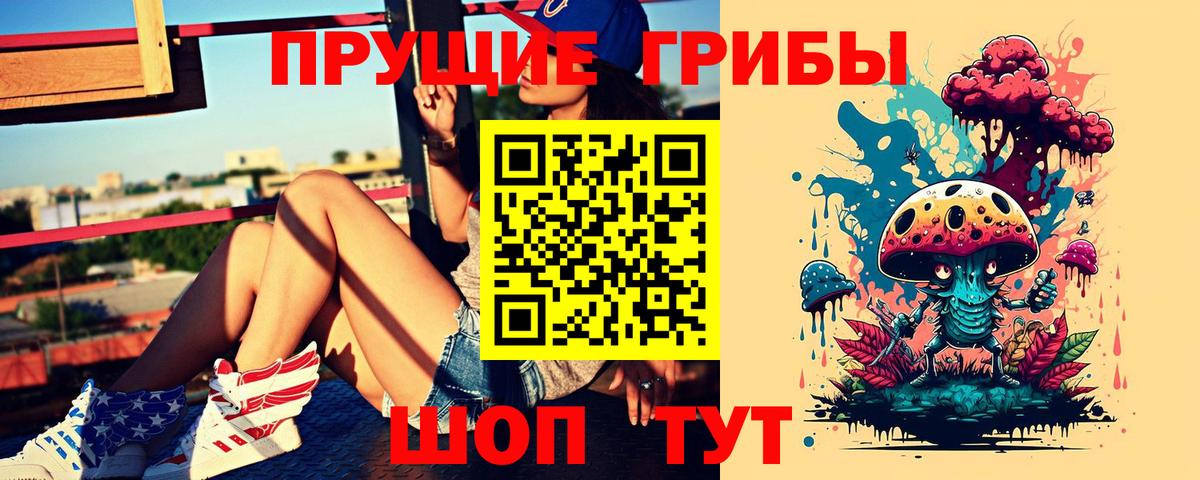 Псилоцибиновые грибы прущие грибы Карабулак